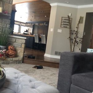 Meet your Posher, Kelley